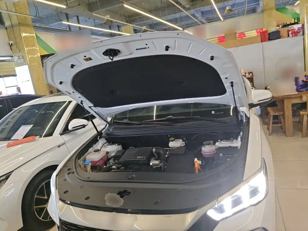 BYD Pro New Energy 2024 — фото 20