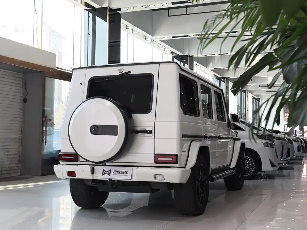 Mercedes-Benz G-Class AMG 2014 — фото 19