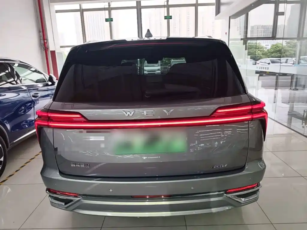 Wey Lanshan 2024