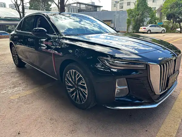Hongqi H5 2024