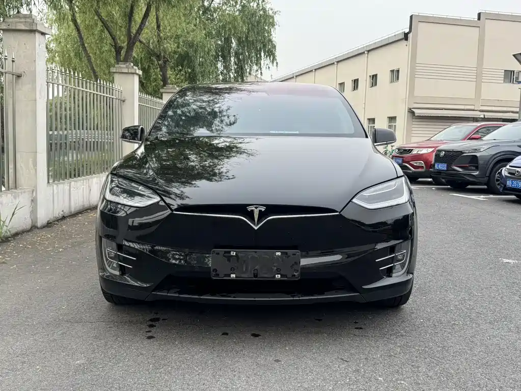 Tesla Model X 2019 — фото 2