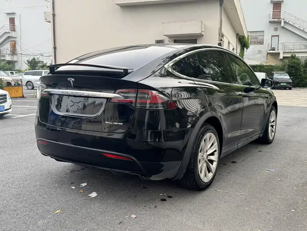 Tesla Model X 2019 — фото 7