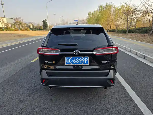 Toyota Wildlander 2022
