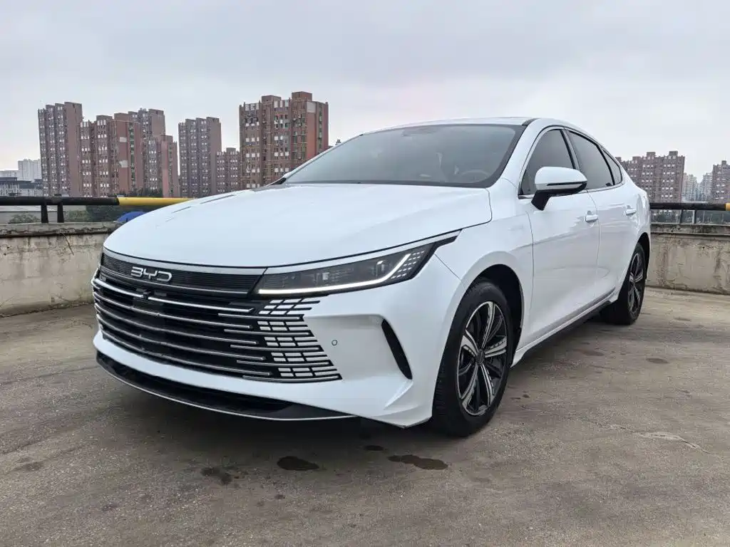 BYD Destroyer 05 2023 — фото 1