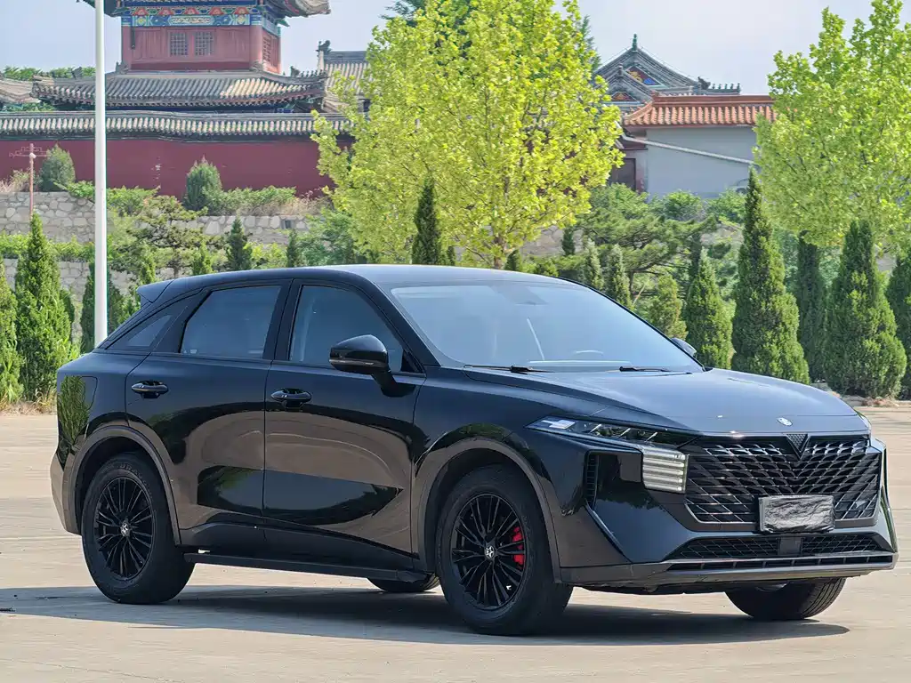 Venucia V 2022 — фото 8
