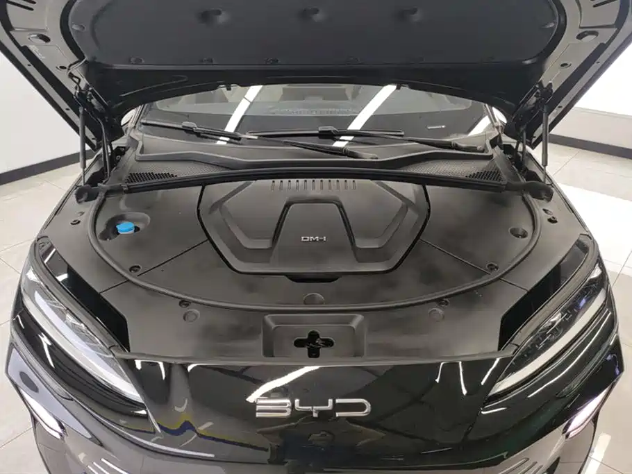 BYD PLUS New Energy 2024 — фото 10