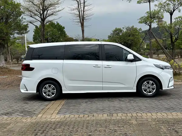 Maxus G20 2023