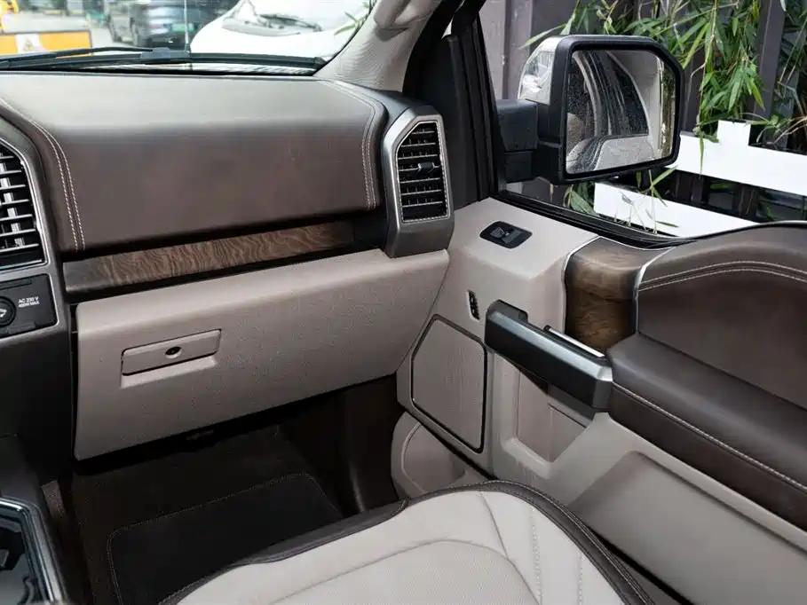 Ford F-150 Raptor 2021 — фото 15