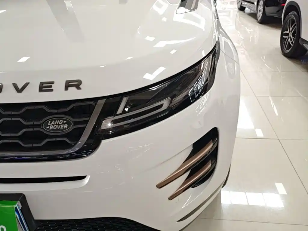 Land Rover Evoque 2020 — фото 24