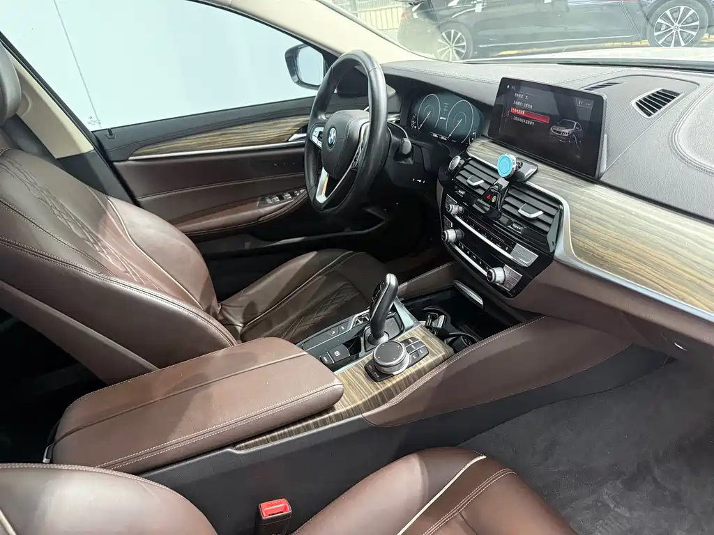 BMW 5 Series New Energy 2019