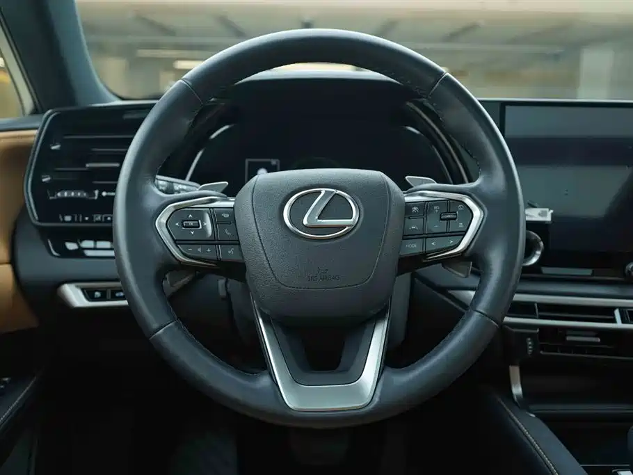 Lexus RX 2024 — фото 18