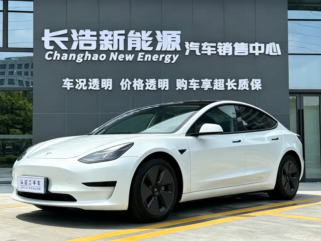 Tesla Model 3 2021