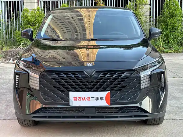 Venucia Big V 2022