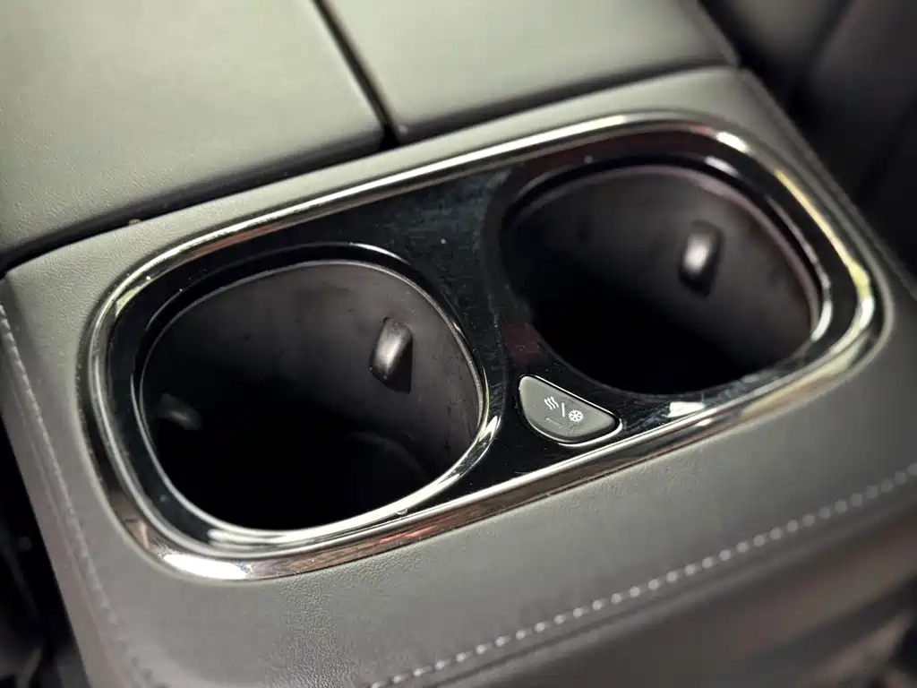 GAC Trumpchi M8 2023 — фото 19