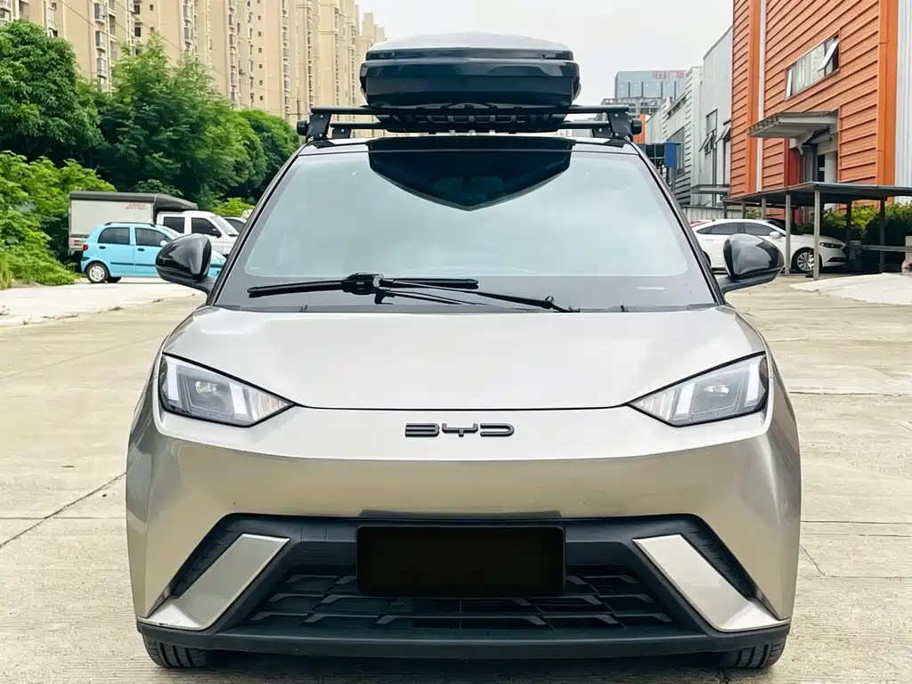 BYD Seagull 2024