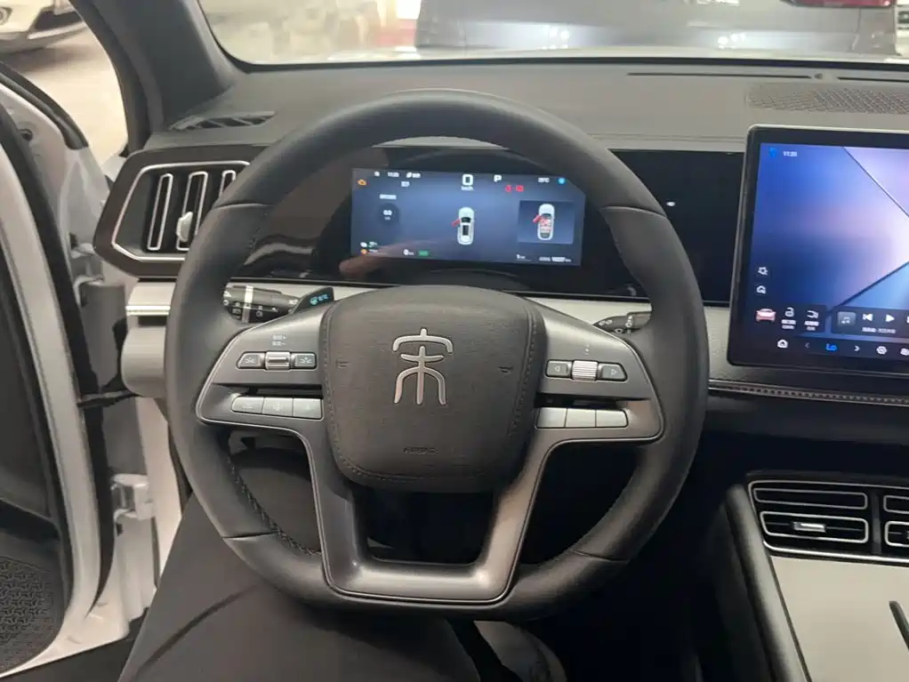 BYD Pro New Energy 2025 — фото 3