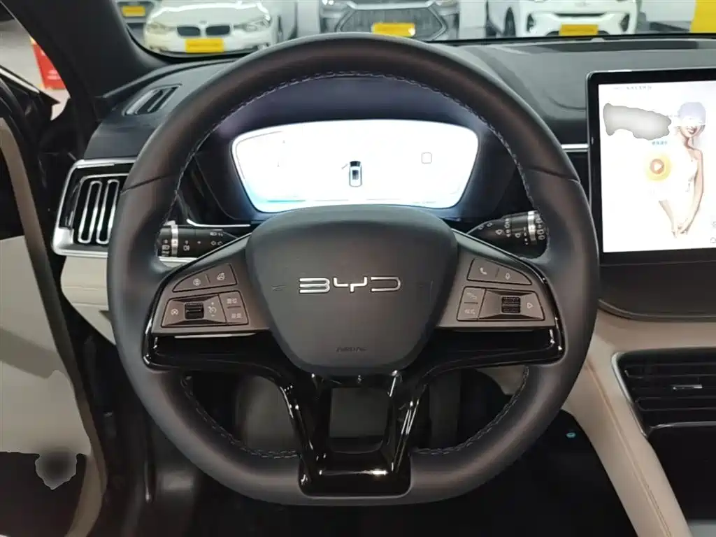 BYD PLUS New Energy 2024 — фото 11