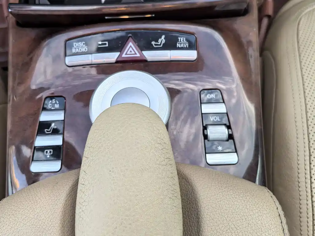 Mercedes-Benz S-Class 2010 — фото 14