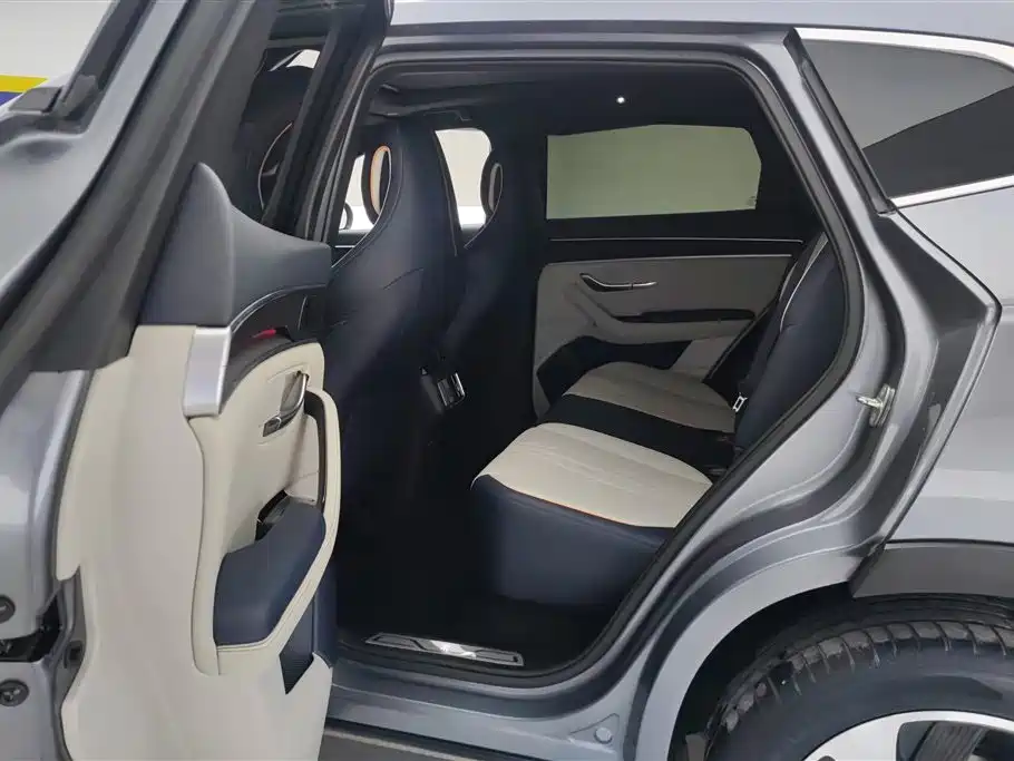 BYD PLUS New Energy 2023 — фото 11