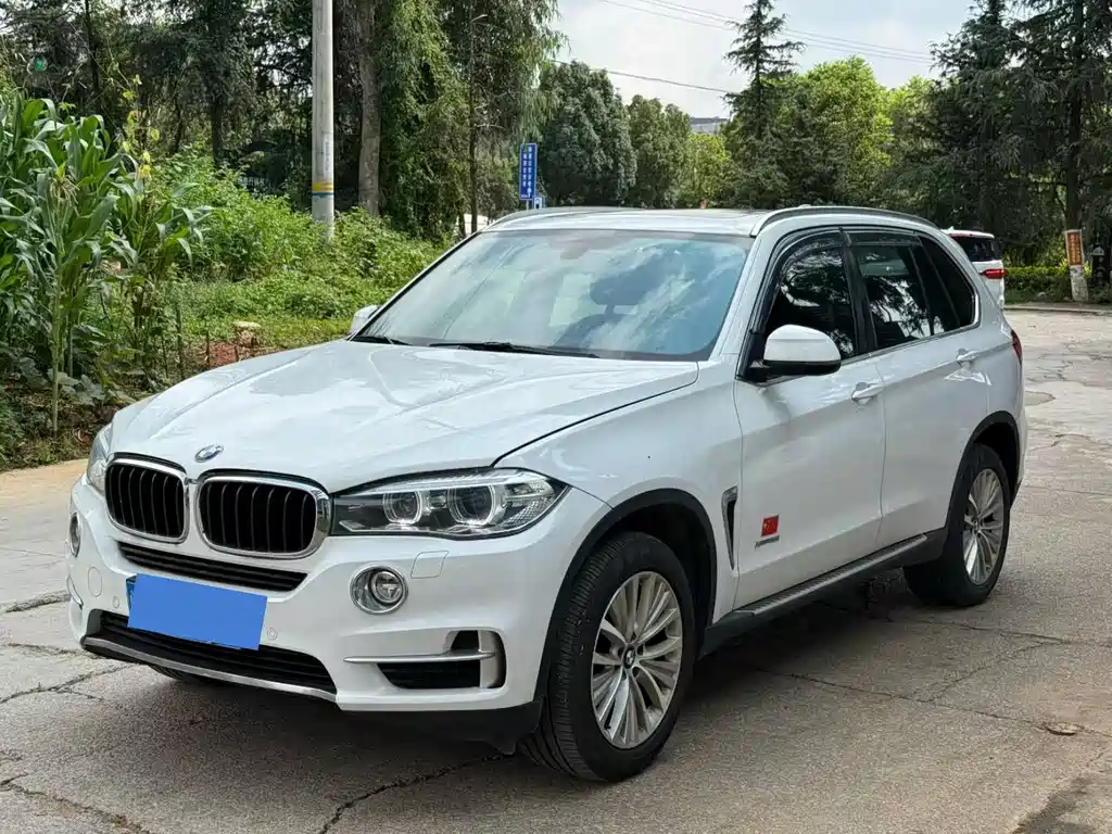 BMW X5 2015 — фото 1