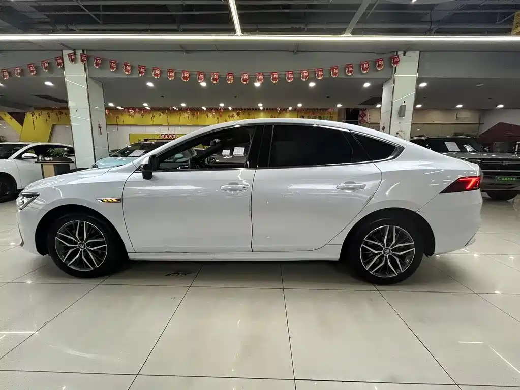 BYD Qin PLUS 2021 — фото 4