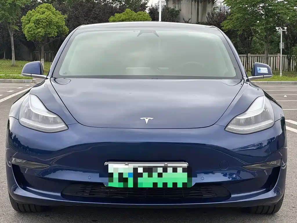 Tesla Model 3 2021 — фото 3