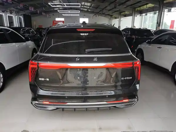 Hongqi E-HS9 2023