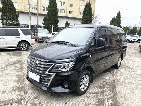 Dongfeng Lingzhi 2020