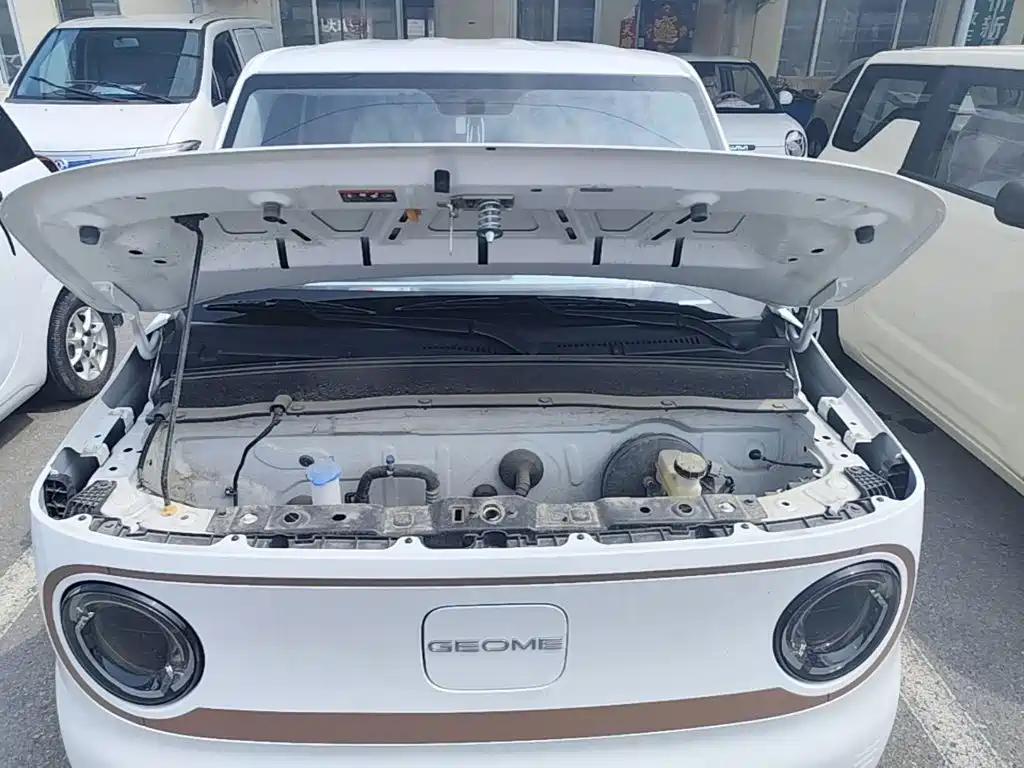 Geely Galaxy Panda 2025 — фото 20