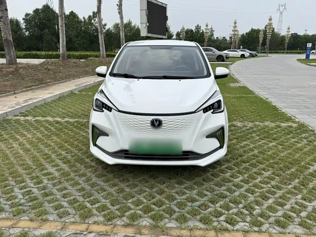 Changan Benben E-Star 2020