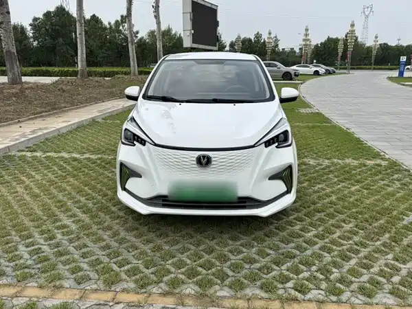Changan Benben E-Star 2020