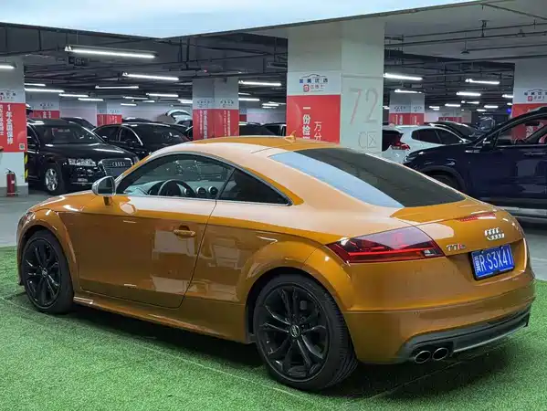 Audi TTS 2013