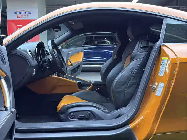 Audi TTS 2013