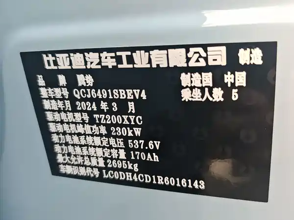 Denza N7 2024