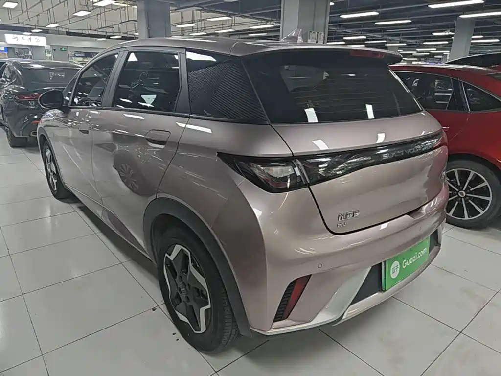 BYD Dolphin 2022