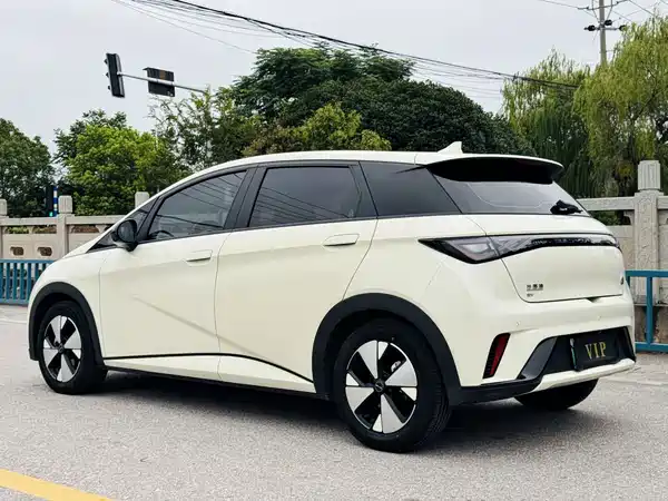 BYD Dolphin 2024