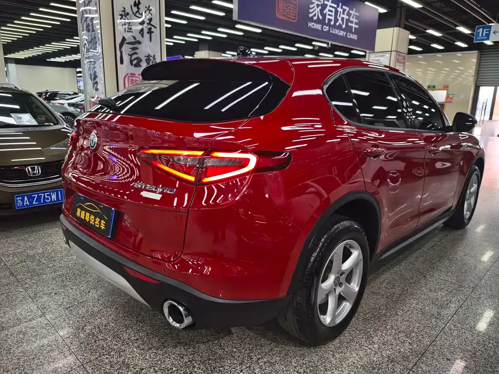 Alfa Romeo Stelvio 2019 — фото 6