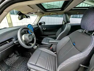 MINI MINI 2025