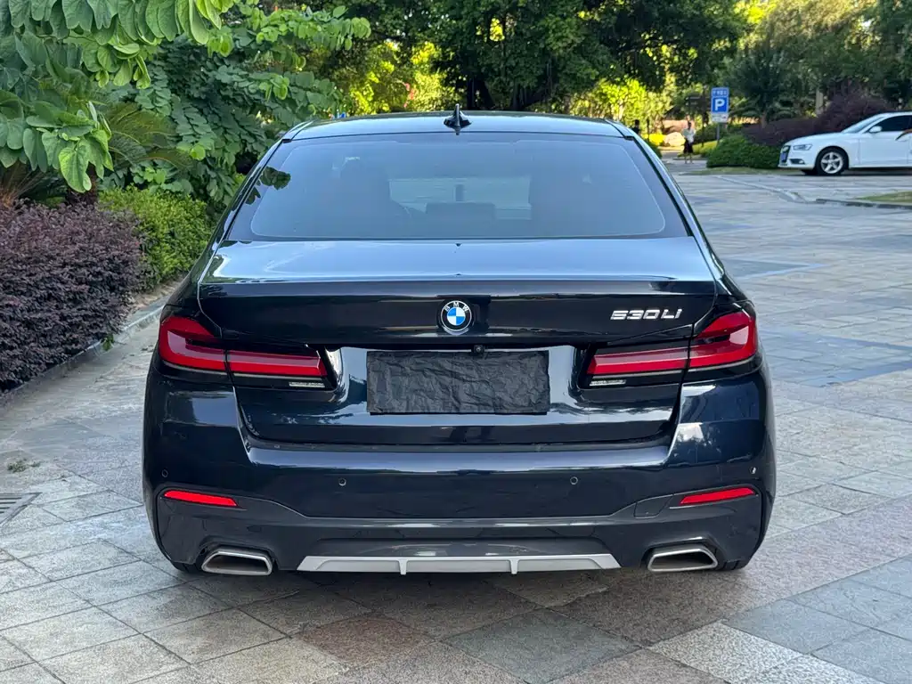 BMW 5 Series 2021