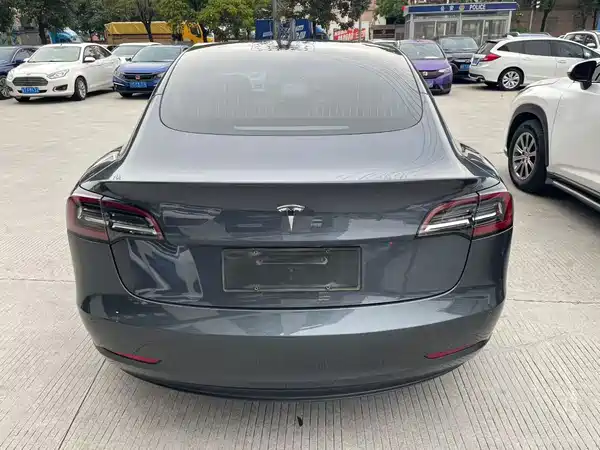 Tesla Model 3 2019