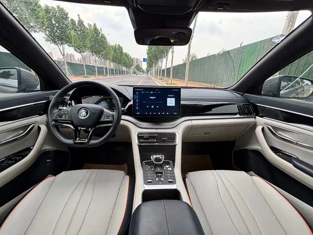 BYD PLUS New Energy 2023 — фото 10