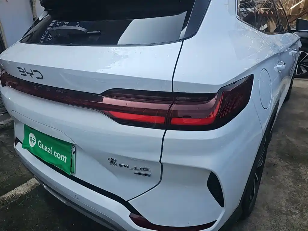 BYD Song PLUS New Energy 2025 — фото 8