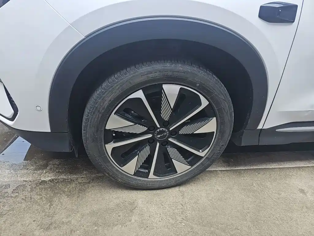 BYD Song PLUS New Energy 2025 — фото 23