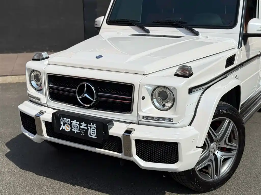 Mercedes-Benz G-Class AMG 2015 — фото 23