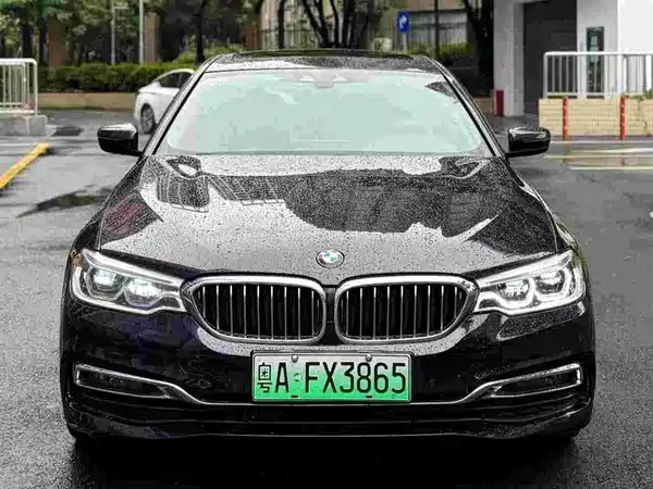 BMW 5 Series New Energy 2018
