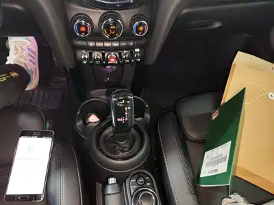 MINI MINI 2021