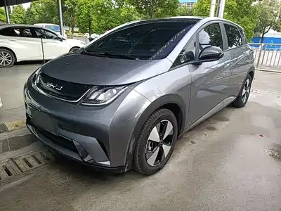 BYD Dolphin 2024