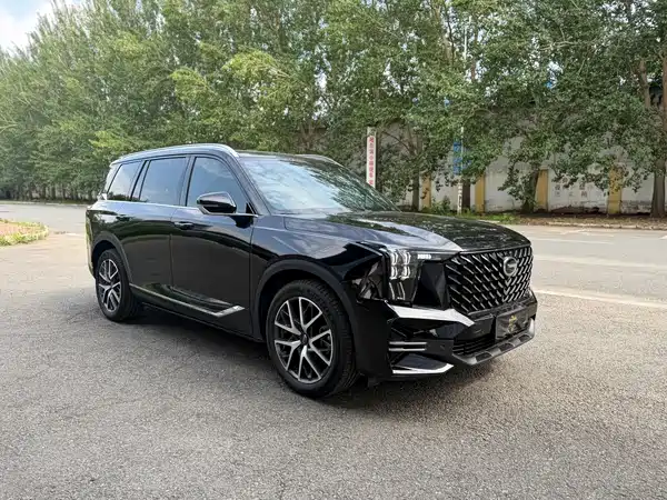 GAC Trumpchi GS8 2022