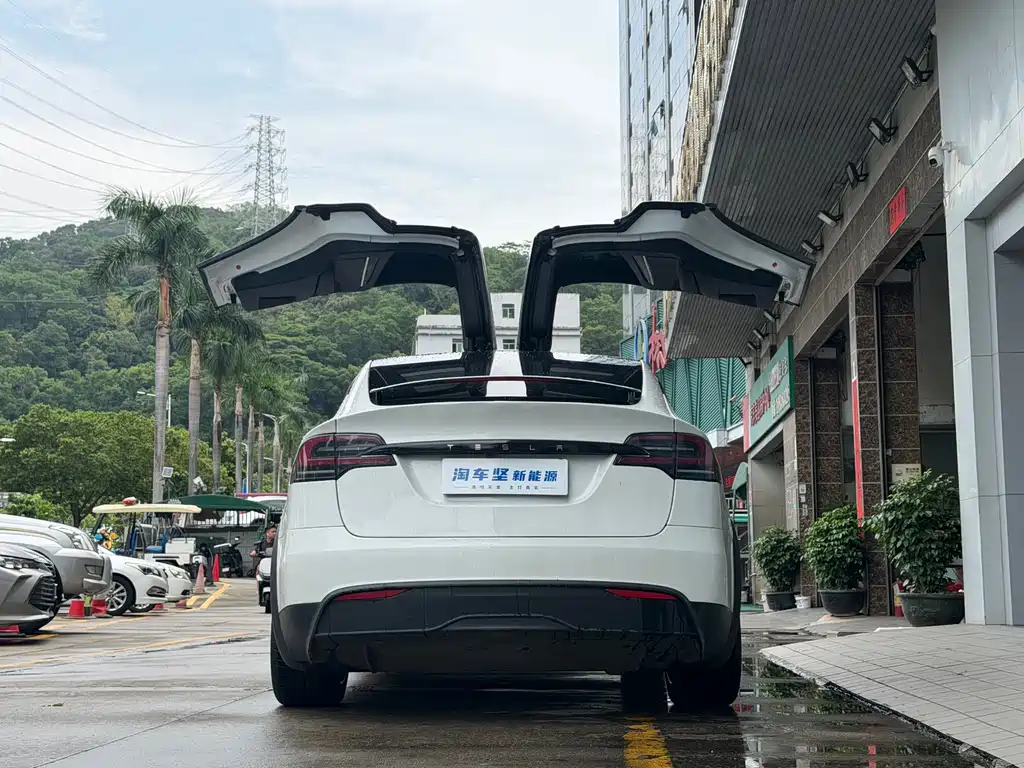 Tesla Model X 2023 — фото 4