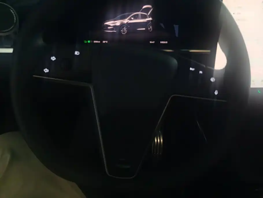 Tesla Model X 2024 — фото 15